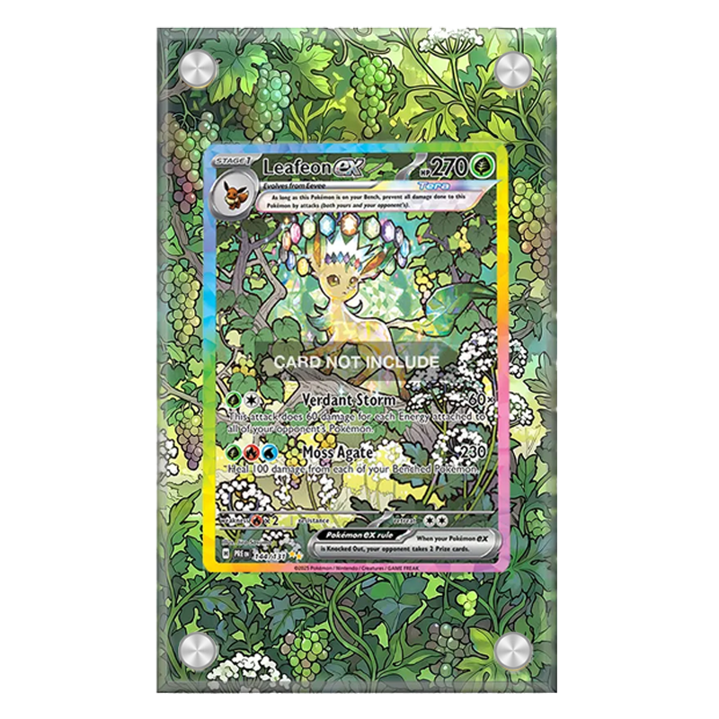 Espositore per Carte Pokémon P - Display Case Acrylic recensione e prezzo