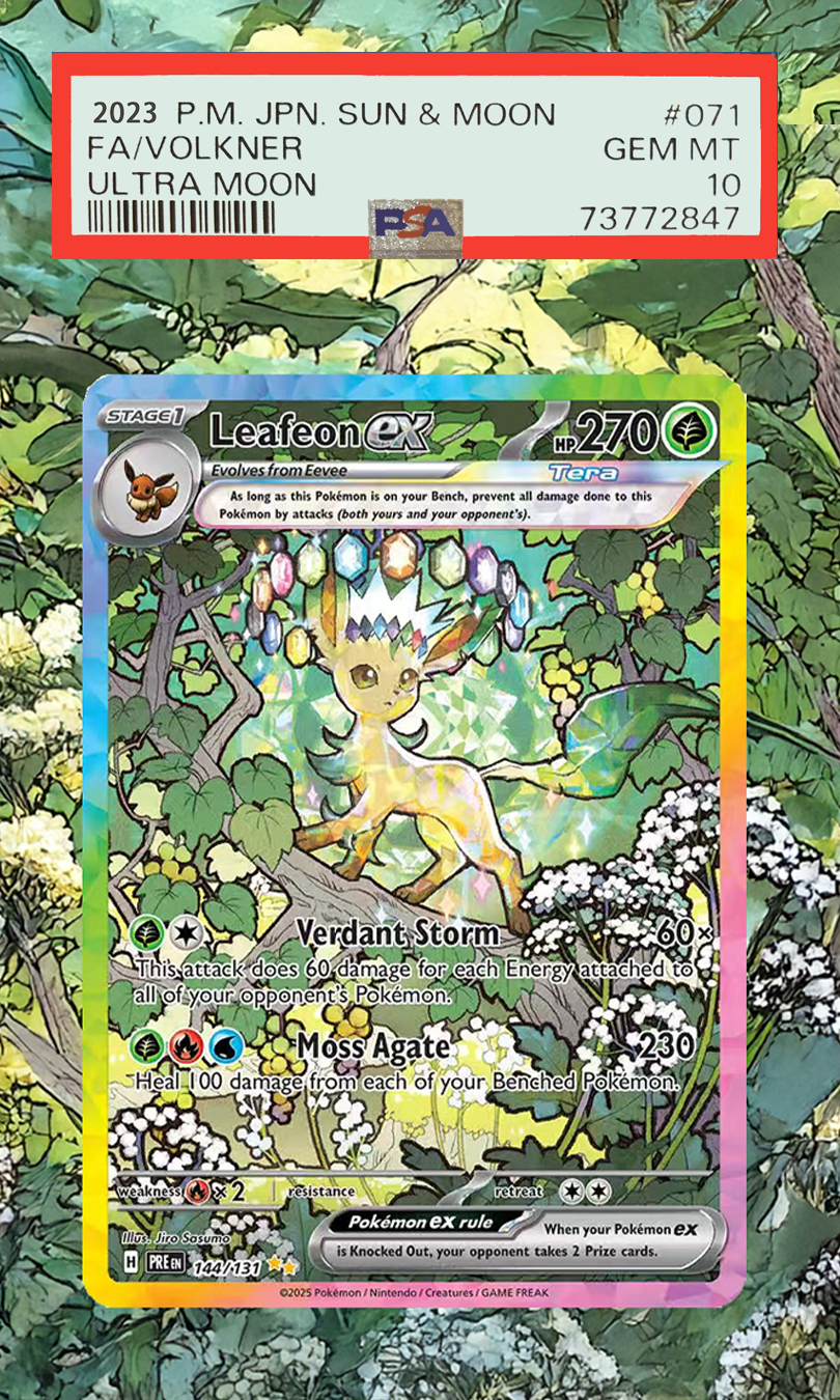 Carte Pokemon Display PTCG Lea - Display Case Acrylic recensione e prezzo