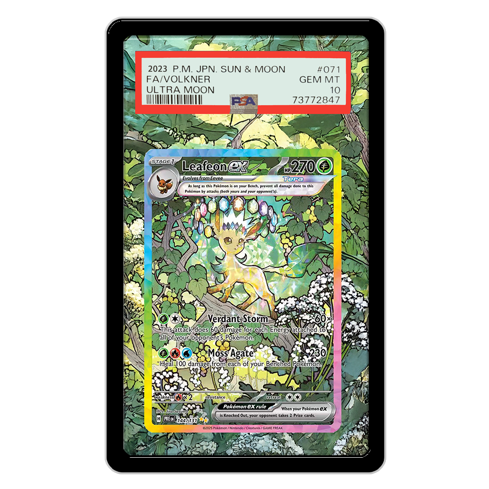 Carte Pokemon Display PTCG Lea - Display Case Acrylic recensione e prezzo
