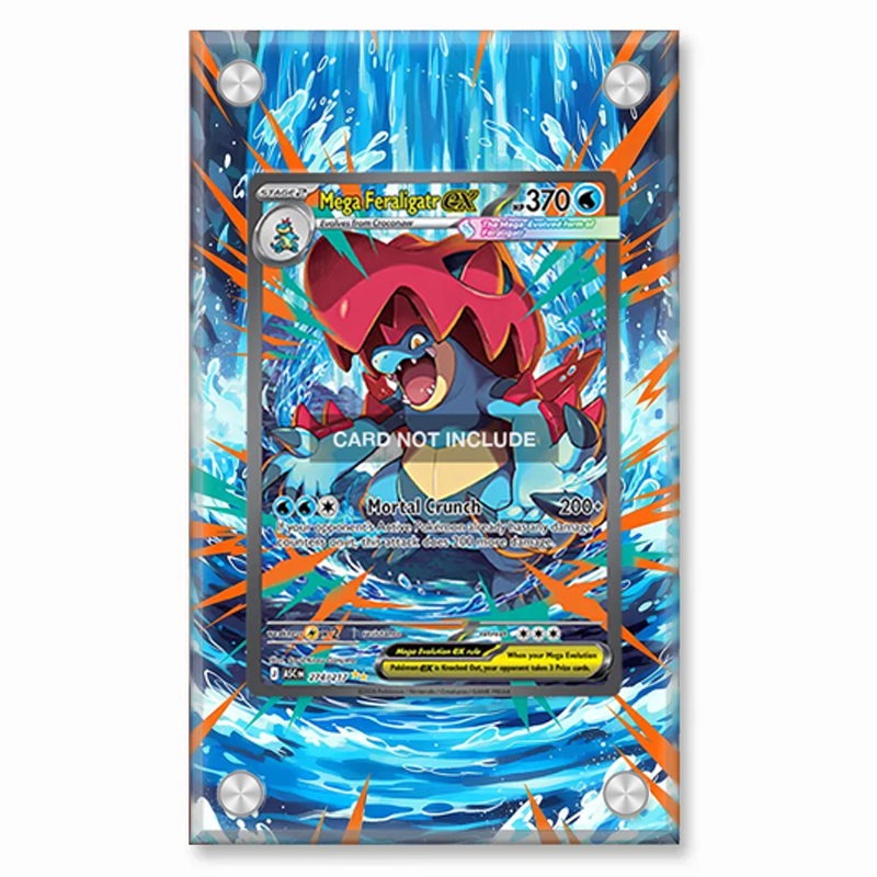 Espositore per Arte Pokémon Sc - Display Case Acrylic recensione e prezzo