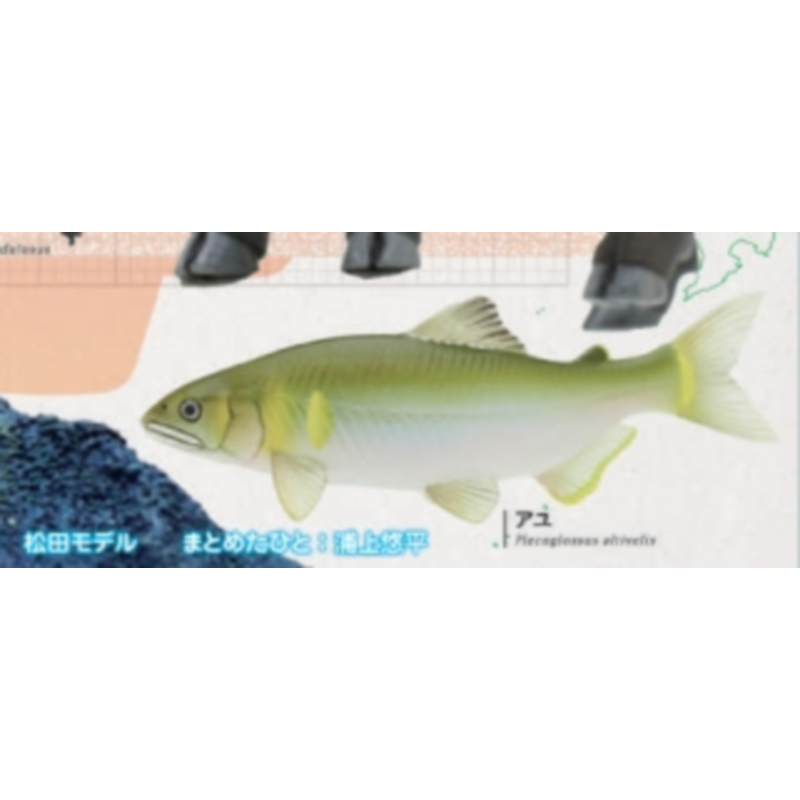 Giappone Ikimon Gashapon Capsu - Capsule Toy Gashapon recensione e prezzo