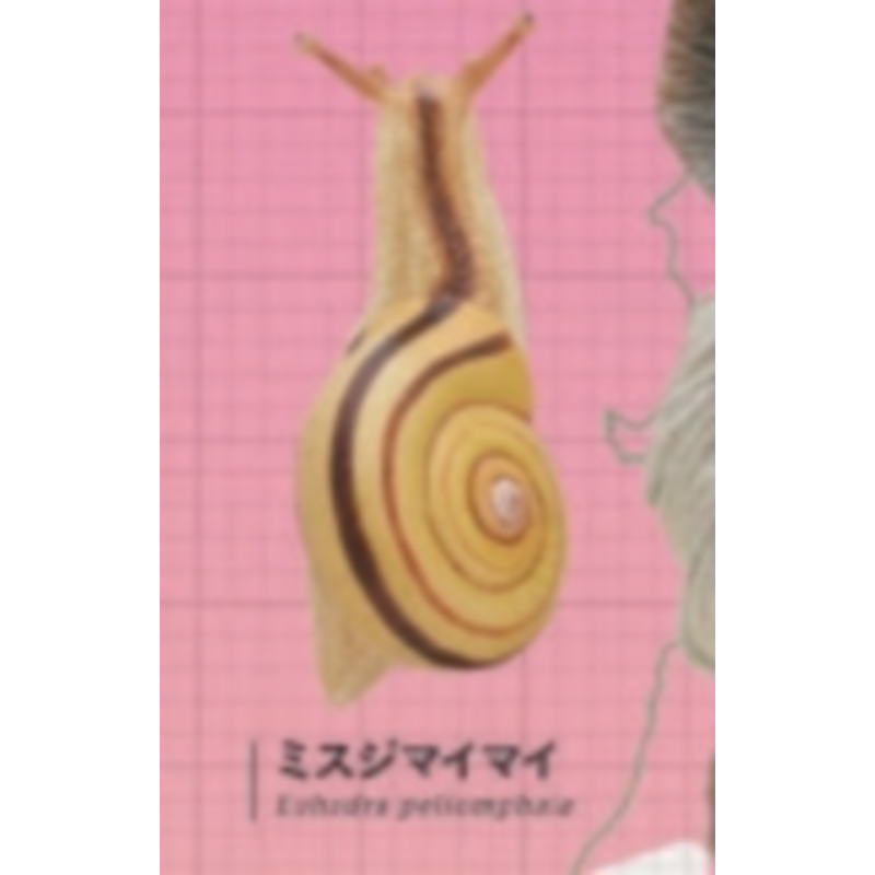 Giappone Ikimon Gashapon Capsu - Capsule Toy Gashapon recensione e prezzo