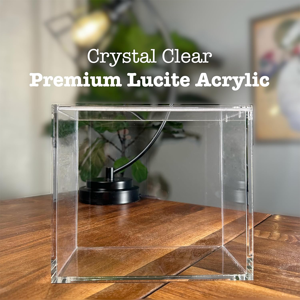 Protezione UV al 99% Custodia  - Display Case Acrylic recensione e prezzo