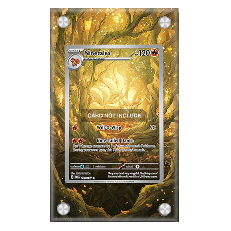 Espositore Artistico per Pokém - Display Case Acrylic recensione e prezzo